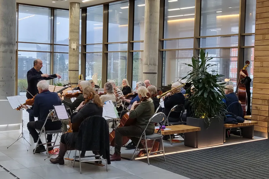 En gruppe mennesker som spiller instrumenter