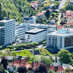 En gruppe bygninger med trær i front