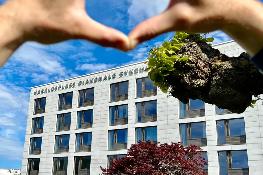 En hånd som holder en grein